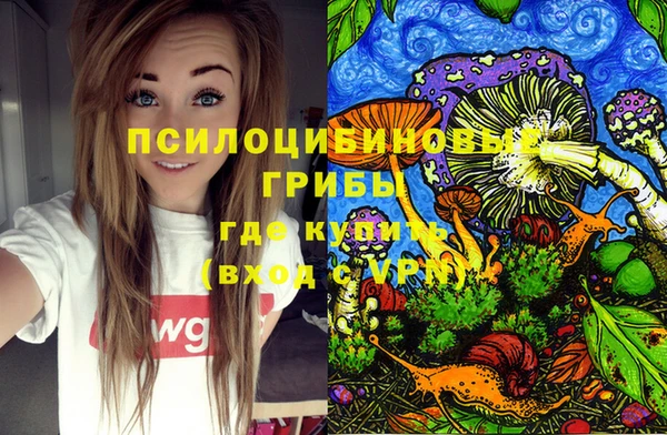 амф Мегион