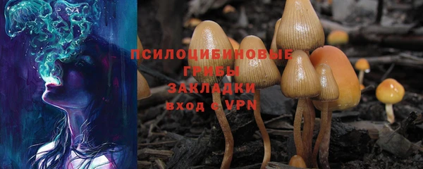 амф Мегион