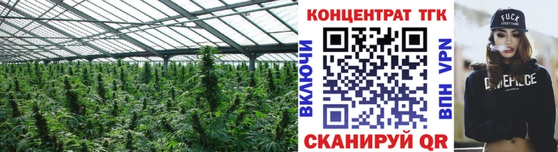 что такое   Нестеров  ТГК гашишное масло 