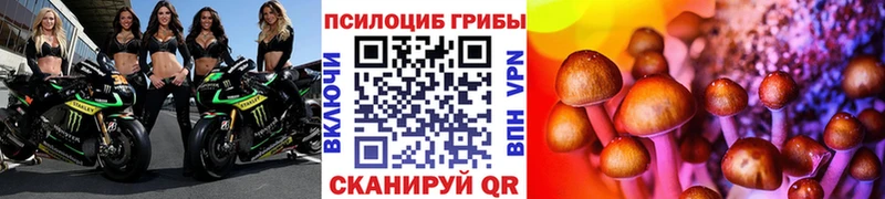 Галлюциногенные грибы Cubensis  Нестеров 